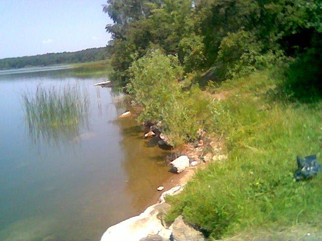 Королівка з panoramio.com - Королівка