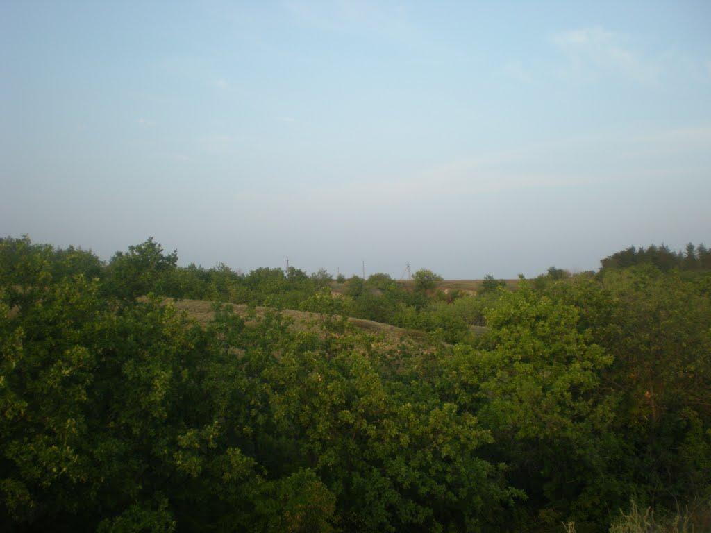 Пантеліївка з panoramio.com - Пантелеевка