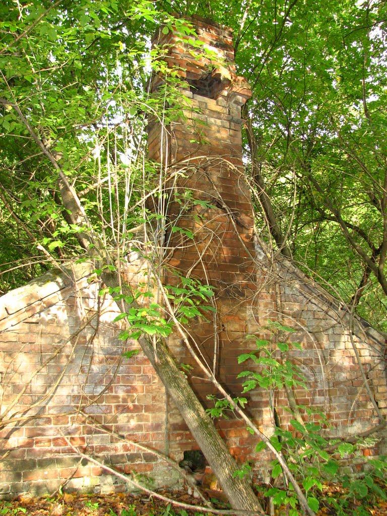Сорокове з panoramio.com - Сороково