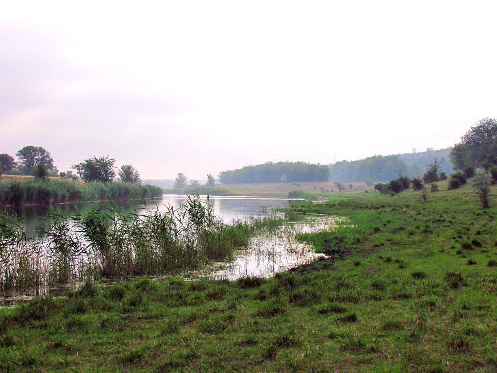 Заградівка з panoramio.com - Заградовка