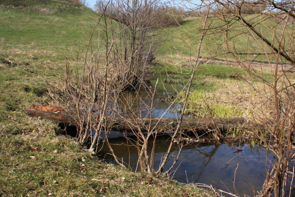 Волосівка з panoramio.com - Волосівка