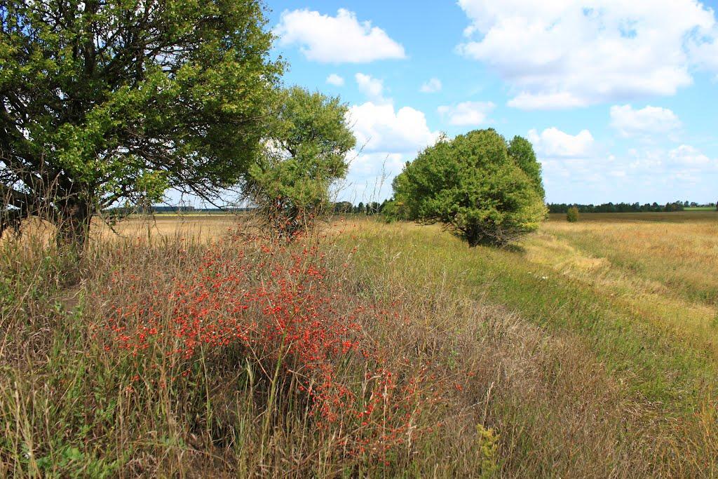 Грубське з panoramio.com - Грубское