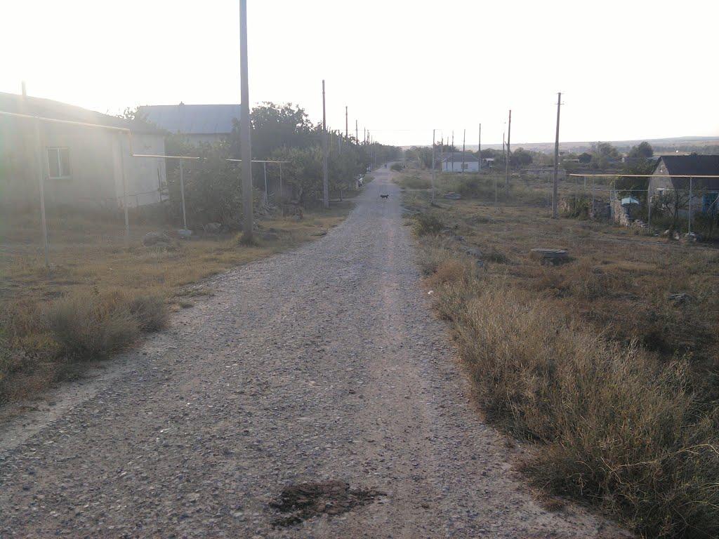 Приозерне з panoramio.com - Приозерне
