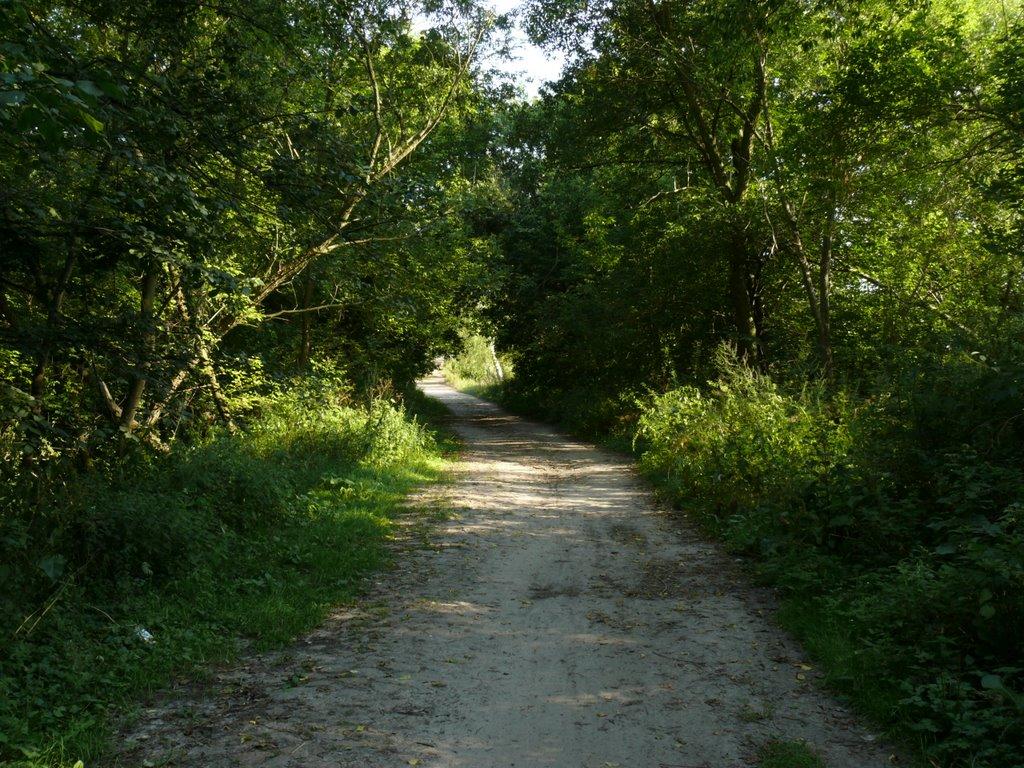 Крупчатка з panoramio.com - Крупчатка