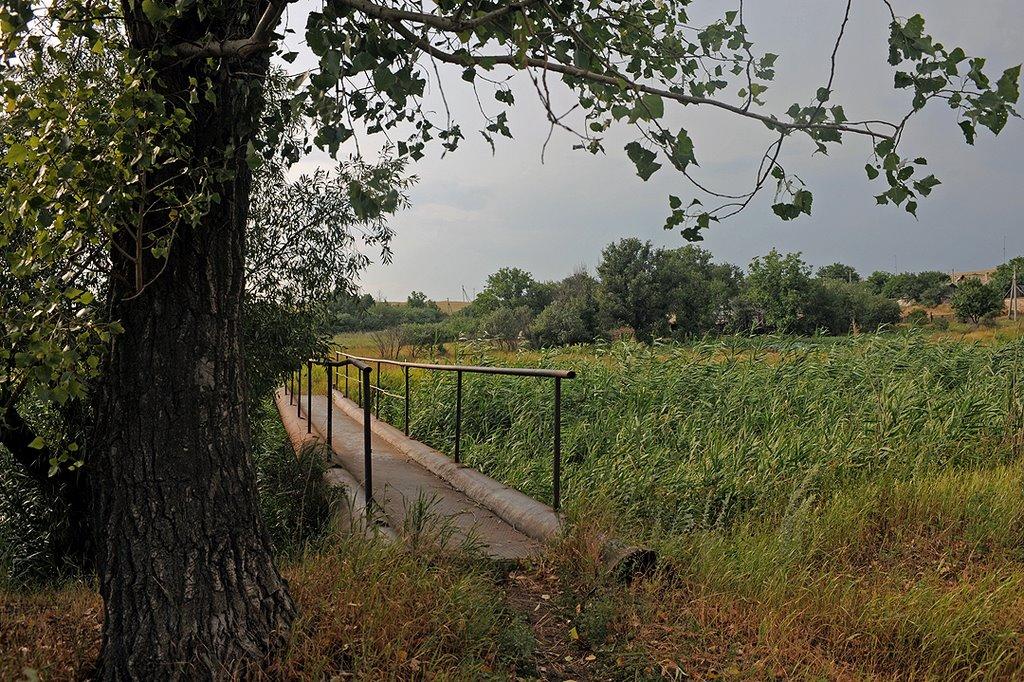Родникове з panoramio.com - Родниково