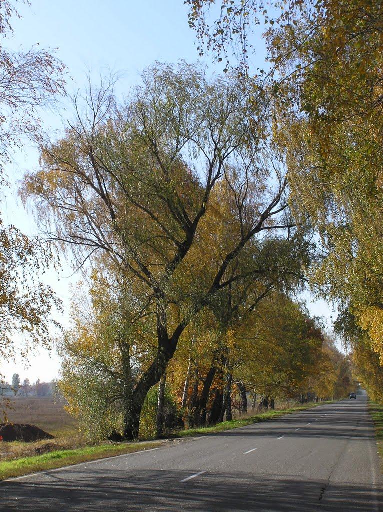 Петровське з panoramio.com - Петровское