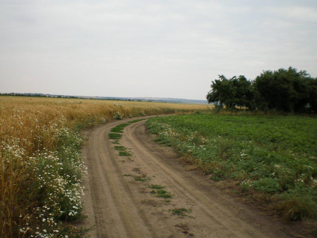 Хижня з panoramio.com - Хижня