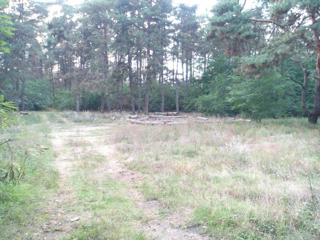 Галицинове з panoramio.com - Галициново