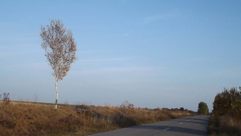 Чаруків з panoramio.com - Чаруків