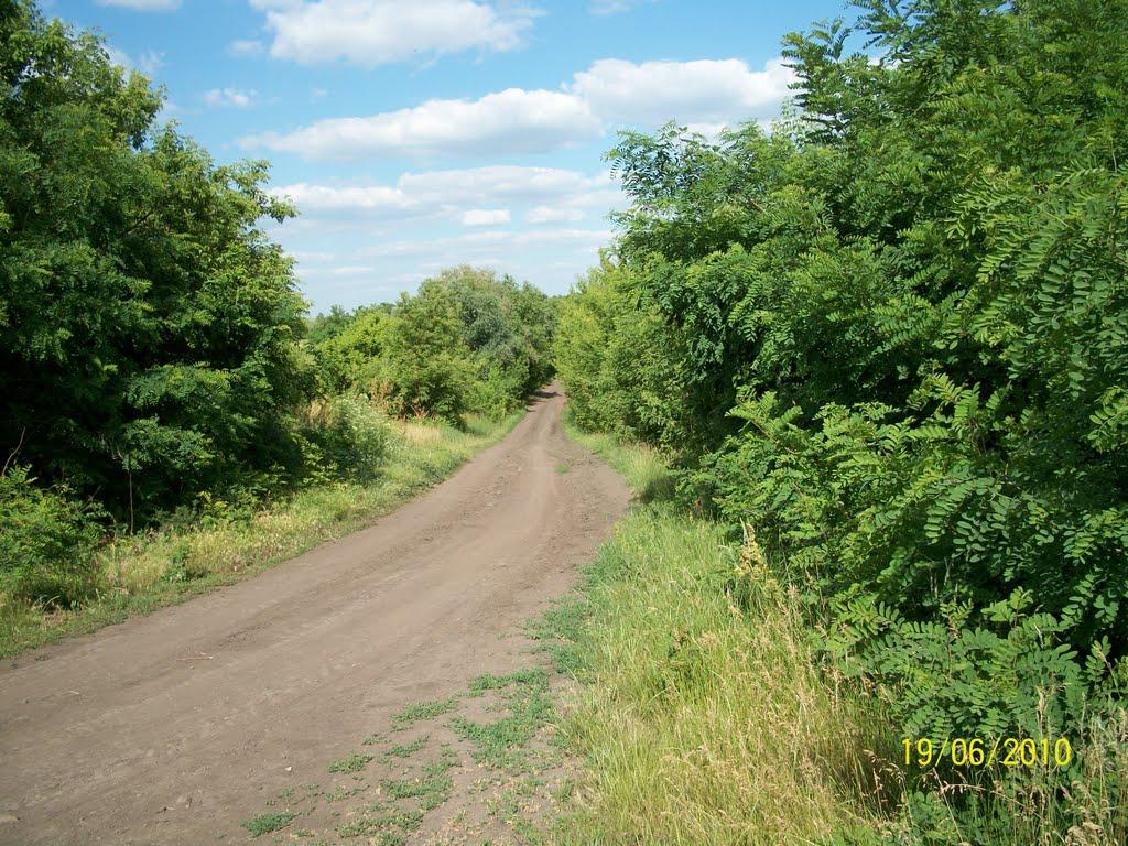 Запашка з panoramio.com - Запашка