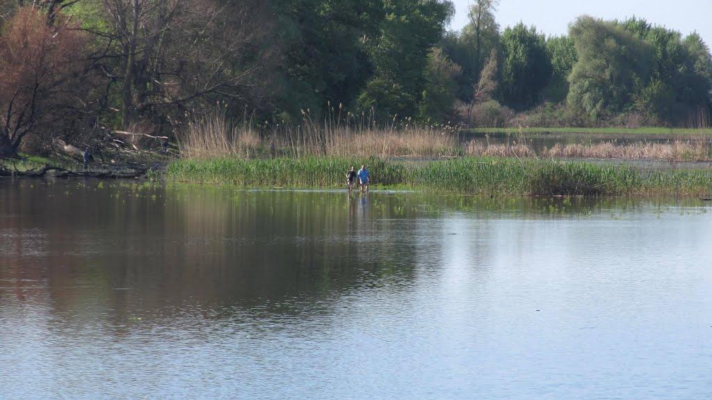 Шушвалівка з panoramio.com - Shushvalivka