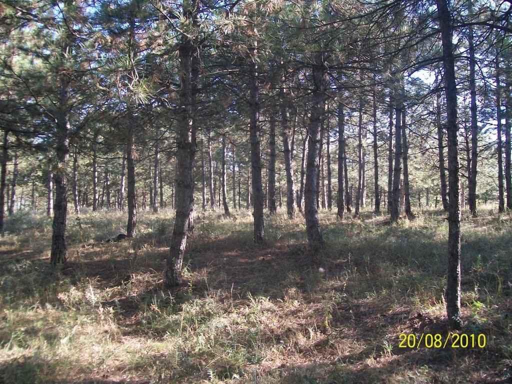 Калачівка з panoramio.com - Калачівка