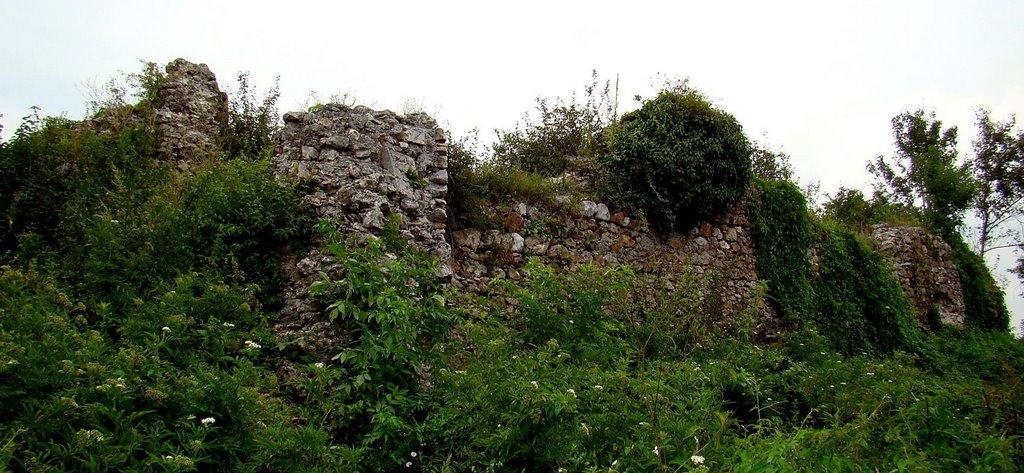 Квасово з panoramio.com - Квасово