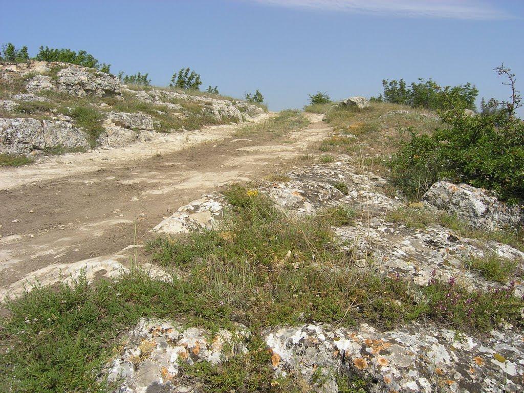Кочергіне з panoramio.com - Кочергино