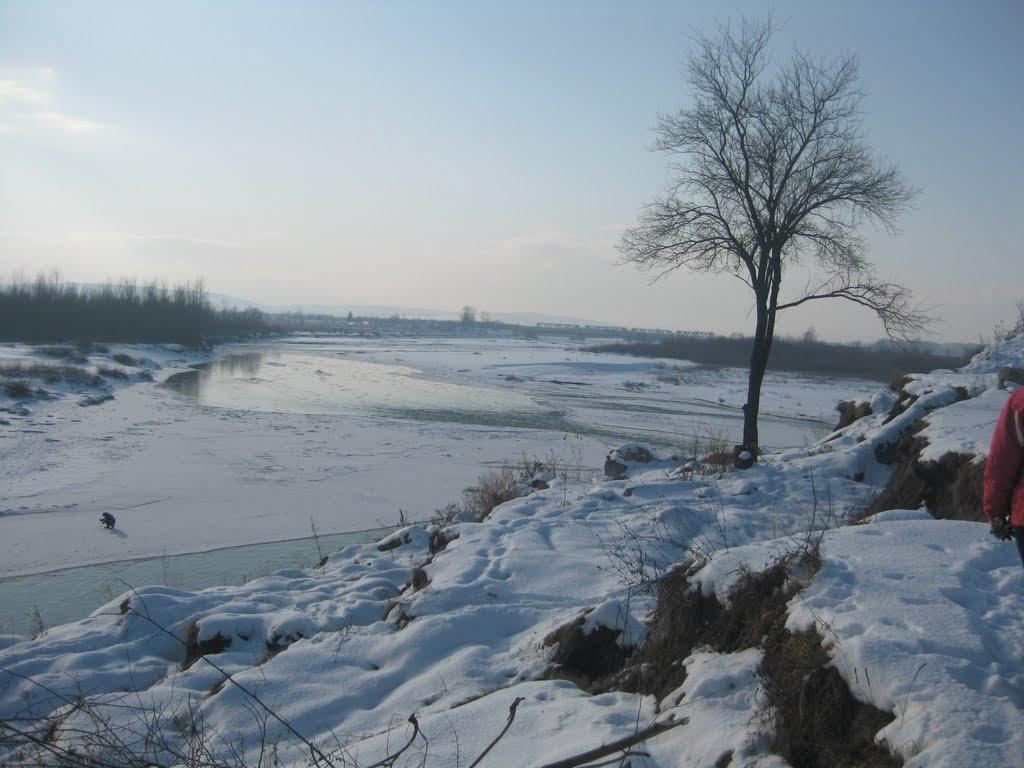 Вовчківці з panoramio.com - Vovchkivtsi