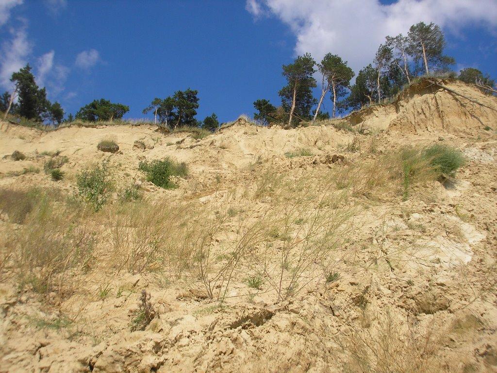 Максимівка з panoramio.com - Максимівка