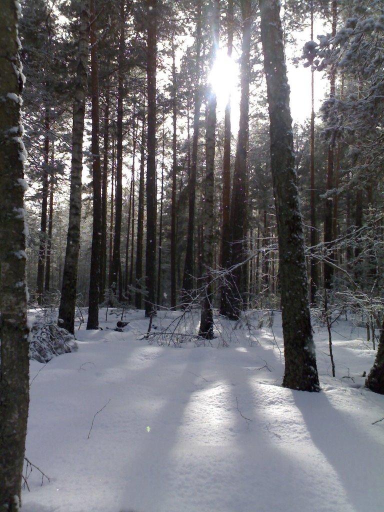 Славутич з panoramio.com - Slavutych