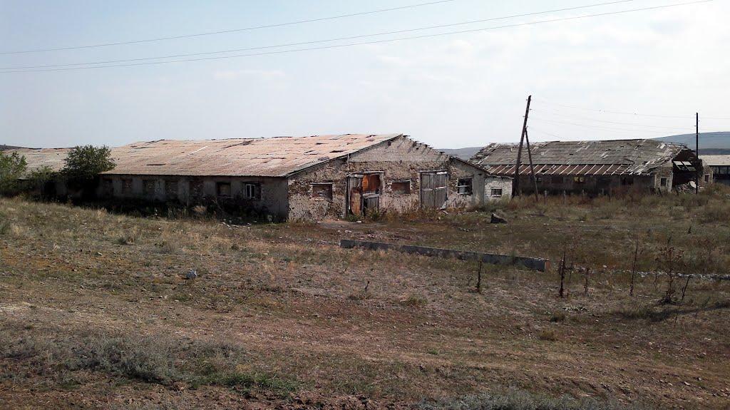 Кам'янка з panoramio.com - Каменка