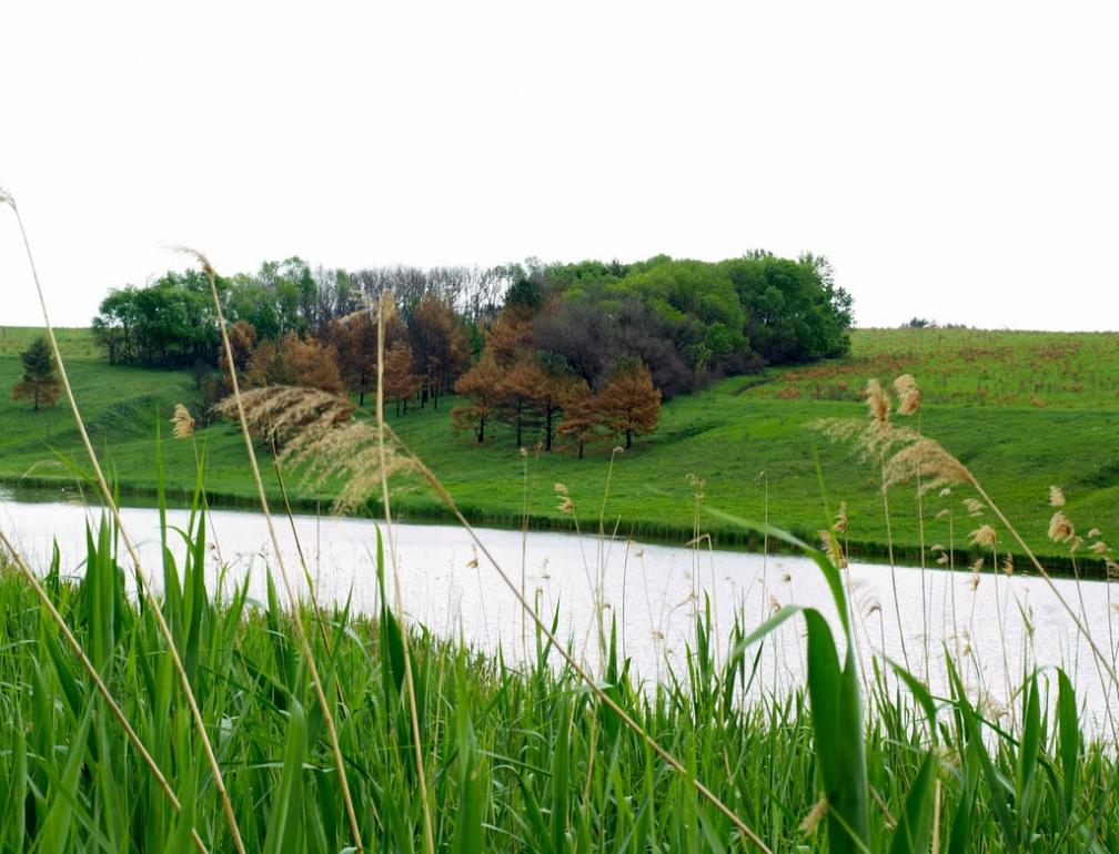 Шестакове з panoramio.com - Шестаково