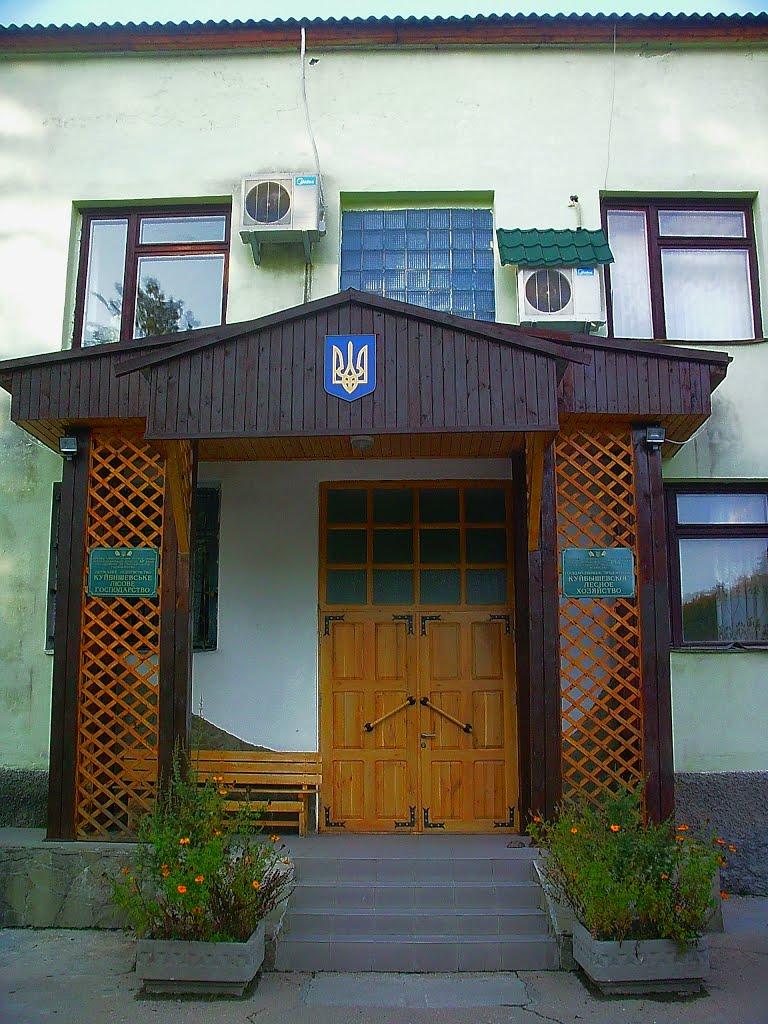 Голубинка з panoramio.com - Голубинка