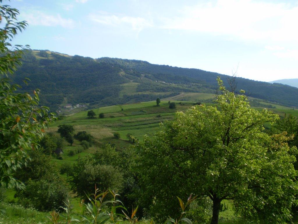 Вишка з panoramio.com - Vyshka