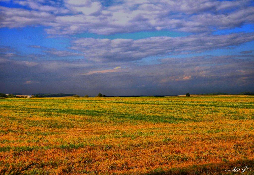 Перше Травня з panoramio.com - Перше Травня