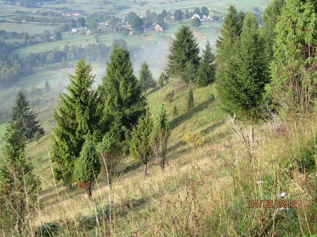 Боберка з panoramio.com - Боберка