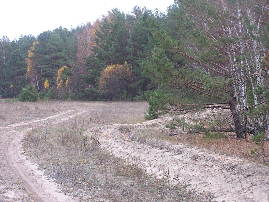 Глібівка з panoramio.com - Glibivka