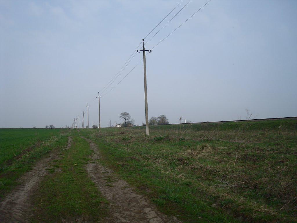 Великий Чернятин з panoramio.com - Великий Чернятин