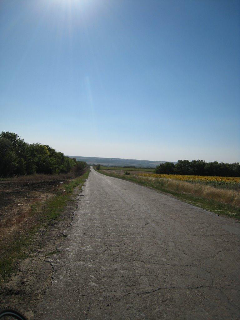 Новосвітлівка з panoramio.com