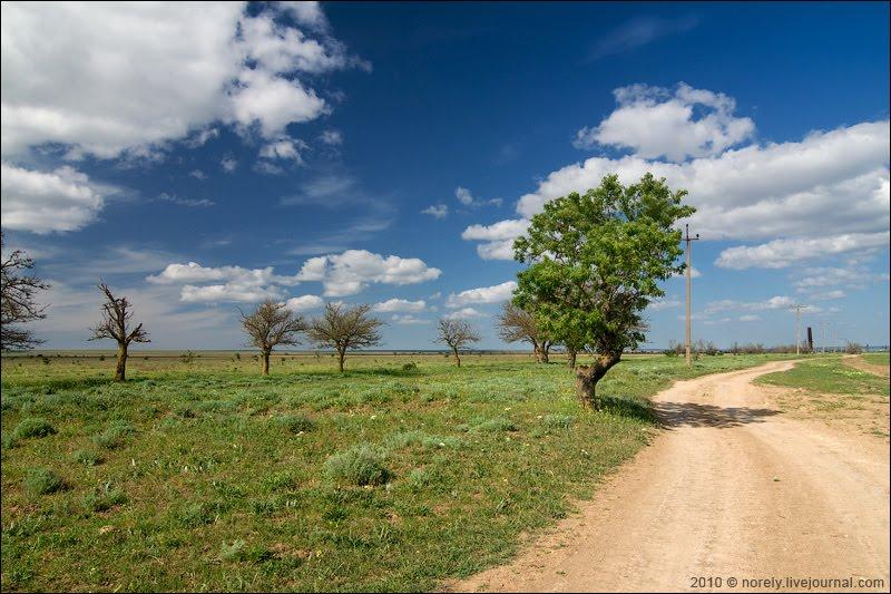 Окунівка з panoramio.com - Окуневка