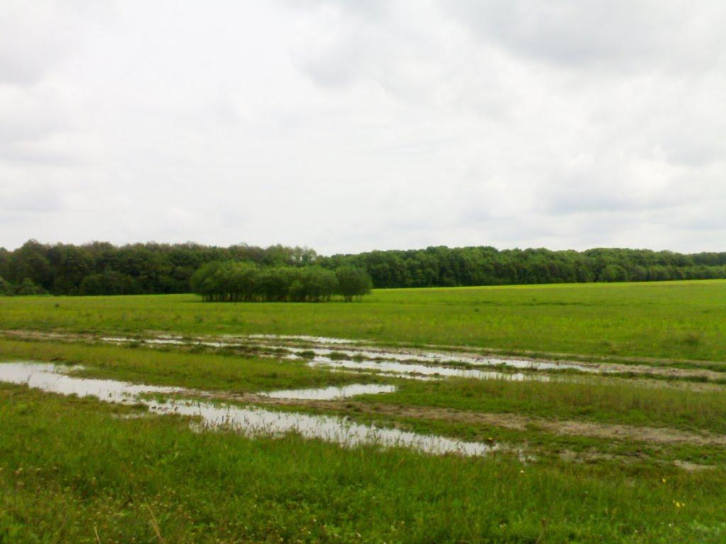 Держанівка з panoramio.com - Держанівка