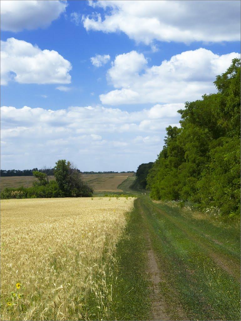 Калашники з panoramio.com - Калашники