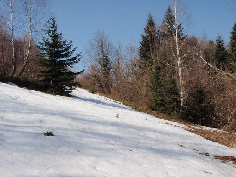 Вишка з panoramio.com - Vyshka