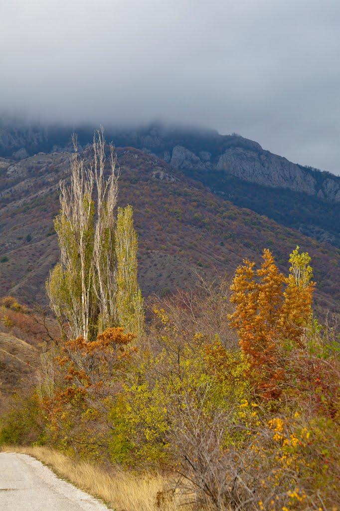 Зеленогір'я з panoramio.com - Зеленогір'я