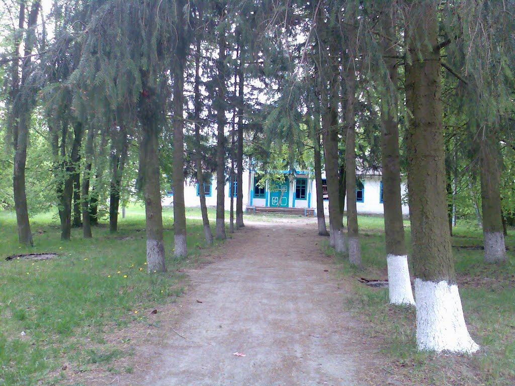 Велика Цвіля з panoramio.com - Велика Цвіля