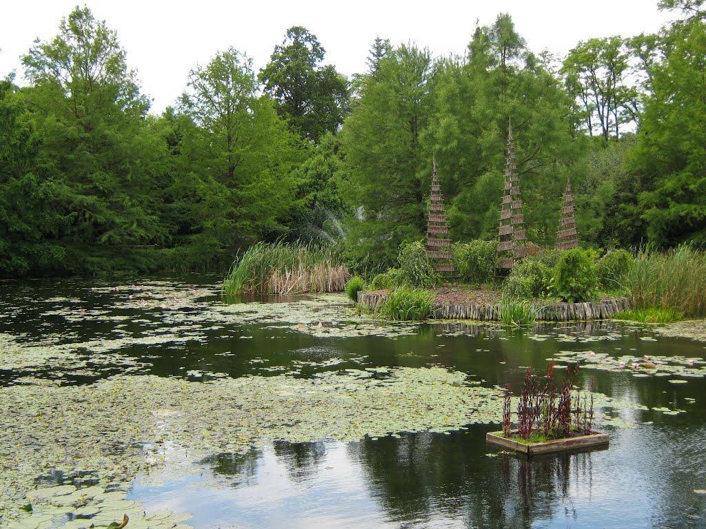 Циків з panoramio.com - Цыков