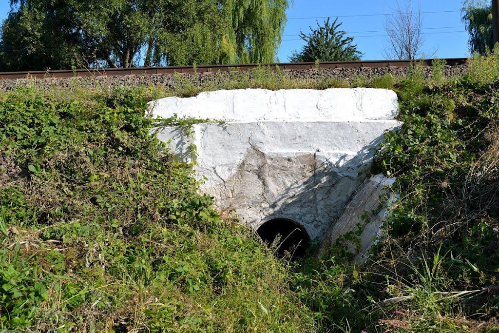 Марківці з panoramio.com - Марковцы