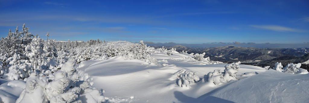 Осмолода з panoramio.com (ч.2) - Осмолода
