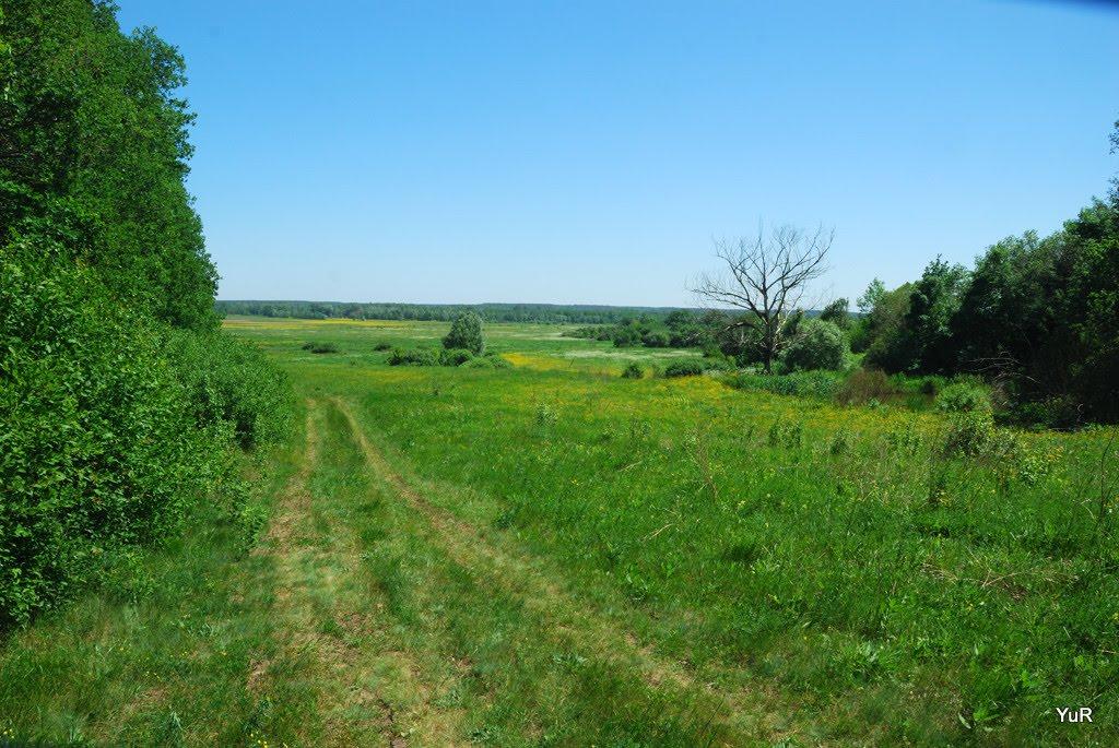 Опішня з panoramio.com - Опошня