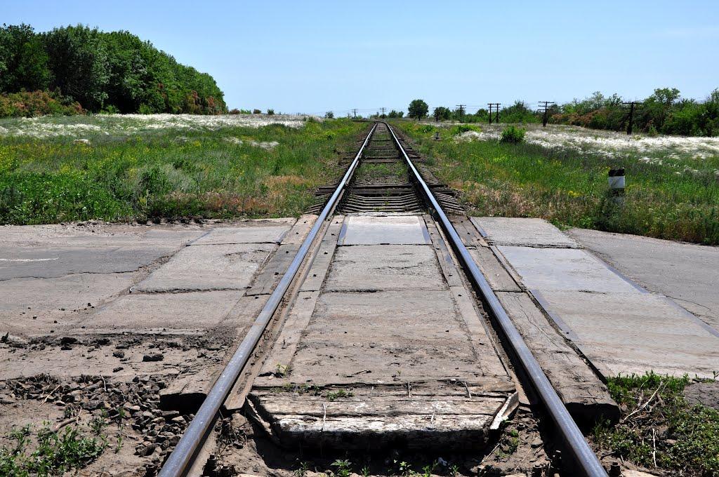 Новосвітлівка з panoramio.com - Новосветловка