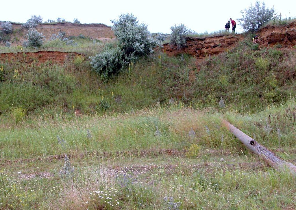 Приозерне з panoramio.com - Приозерне