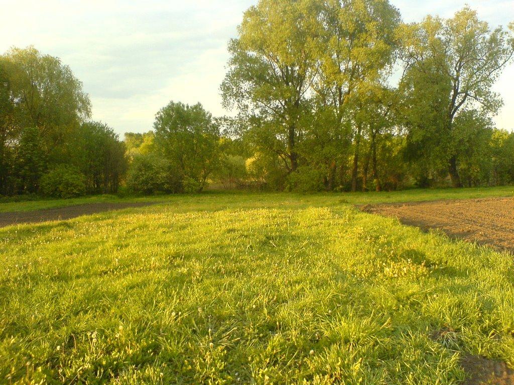 Дубовий Гай з panoramio.com - Дубовый Гай