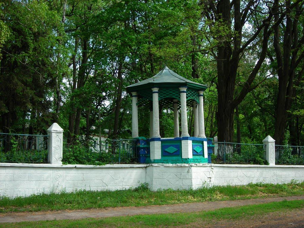 Березова Рудка з panoramio.com - Березовая Рудка