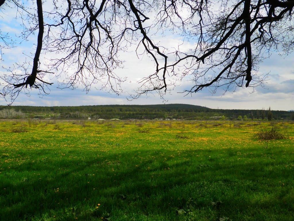 Білогірськ з panoramio.com - Білогірськ