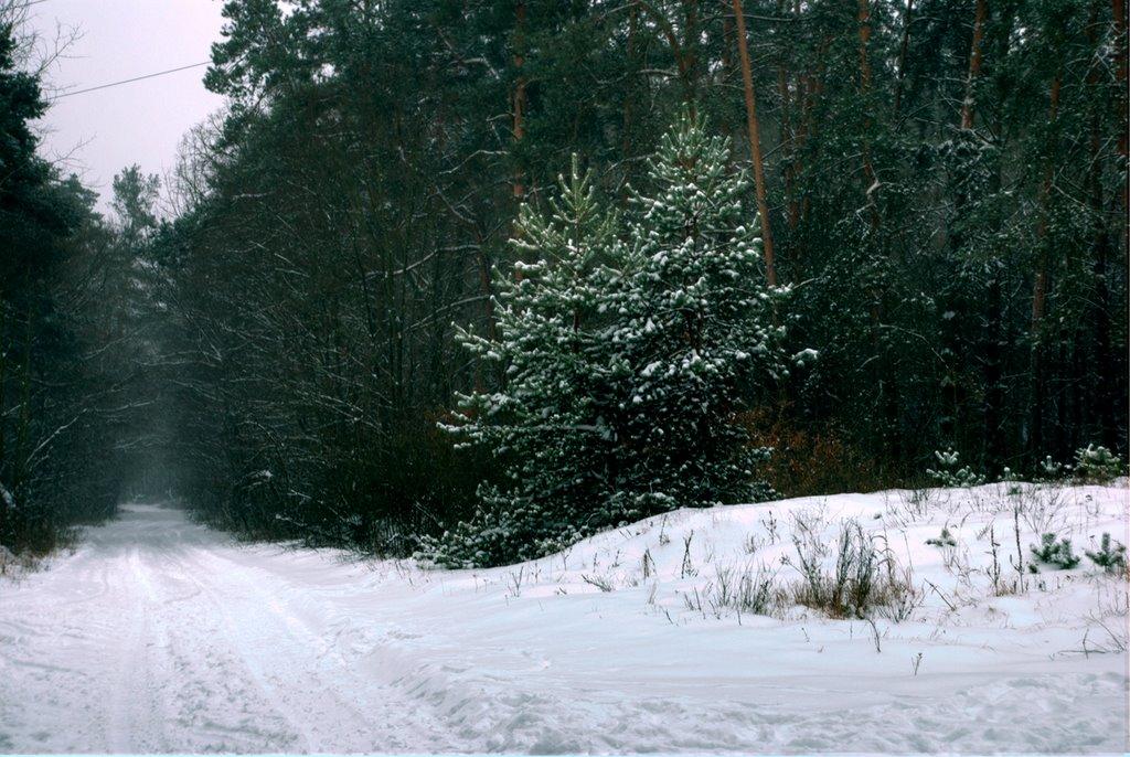 Свидівок з panoramio.com - Свидовок