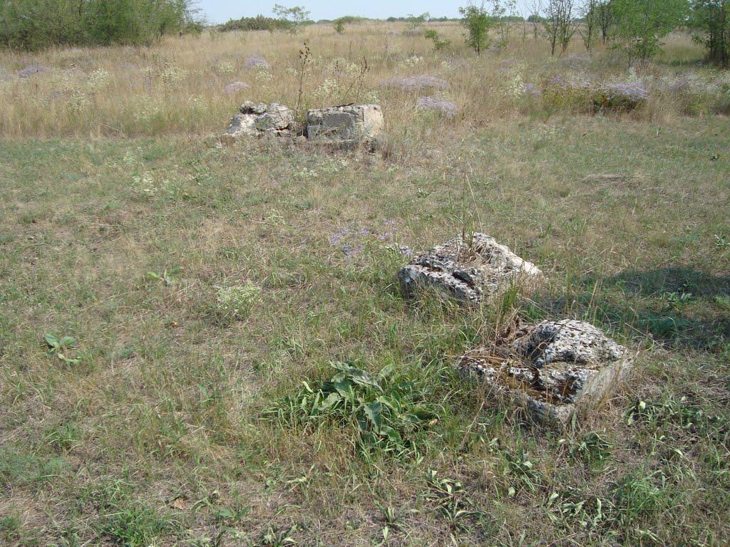 Весняна Квітка з panoramio.com - Весняна Квітка