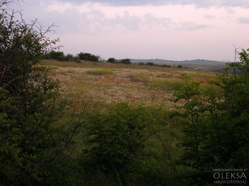 Кочергіне з panoramio.com - Кочергино