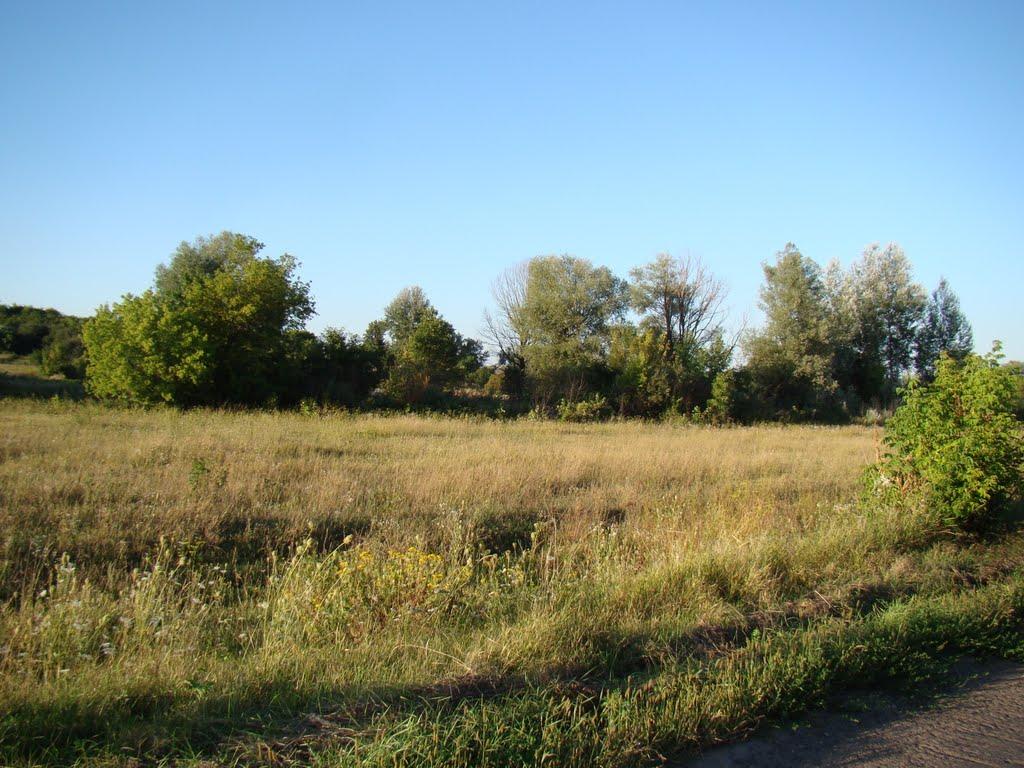 Довжик з panoramio.com - Довжик