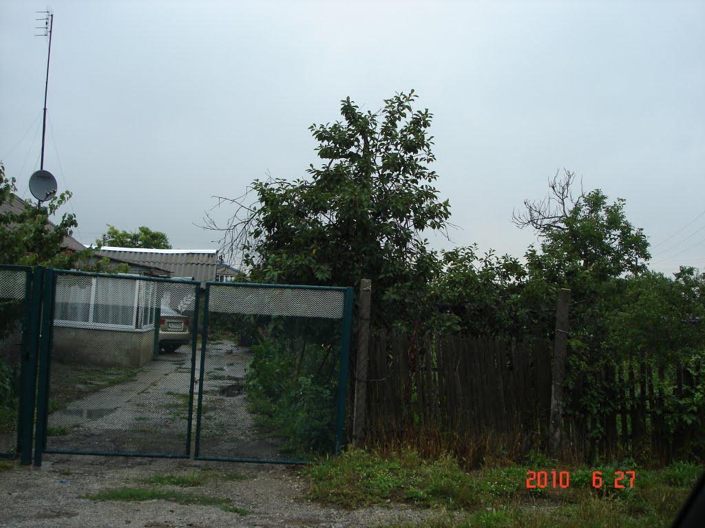 Курортне з panoramio.com - Курортное